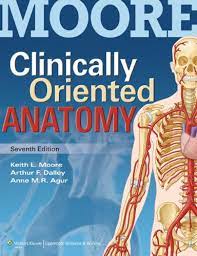Photo of MOORE’S CLINICALLY ORIENTED ANATOMY 7th EDITION PDF Free Download