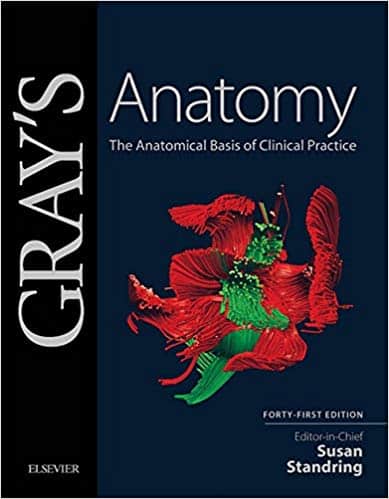Gray’s anatomy: The Anatomical Basis of Clinical Practice 41st Edition PDF Free Download