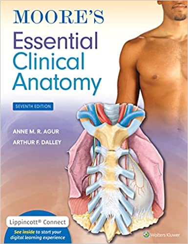 MOORE’S ESSENTIAL CLINICAL ANATOMY 7TH EDITION PDF Free Download