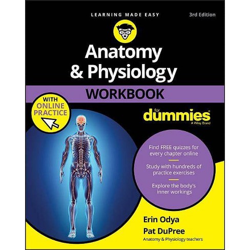 ANATOMY AND PHYSIOLOGY WORKBOOK FOR DUMMIES WITH ONLINE PRACTICE 3rd Edition PDF Free Download