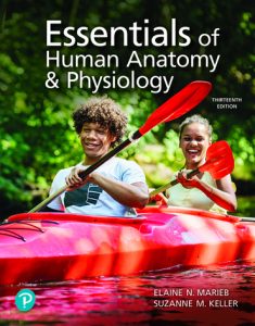 ESSENTIALS OF HUMAN ANATOMY AND PHYSIOLOGY EDITION 13Th PDF Free Download