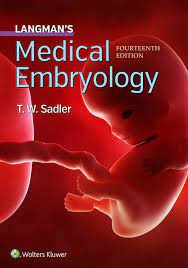 Photo of Download Langman’s Medical Embryology 14th Edition PDF Free & Read Online