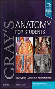 Gray’s Anatomy For Students 4th Edition PDF Free Download