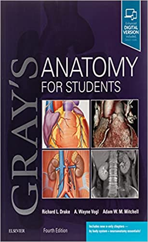 Photo of Download Gray’s Anatomy For Students 4th Edition PDF Free & Read Online