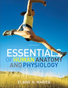 Essentials of Human Anatomy and Physiology 10th Edition PDF Free Download