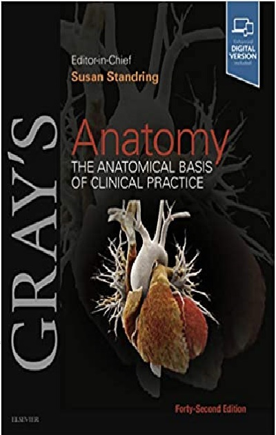 Photo of GRAY’S ANATOMY 42nd EDITION PDF Free Download & Read Online